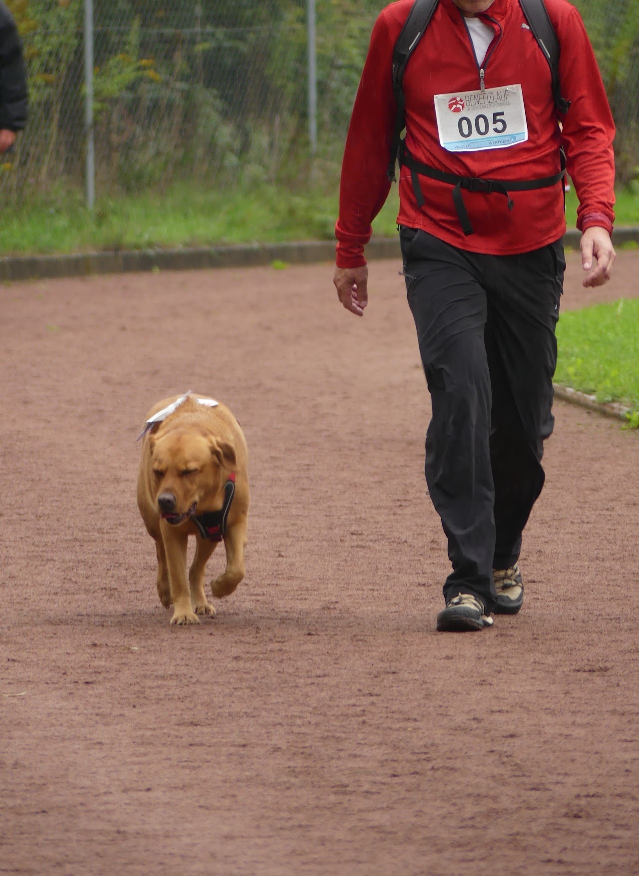 Bild vom 13. Benefizlauf im Jahr 2022. Dies ist das 625. Bild.